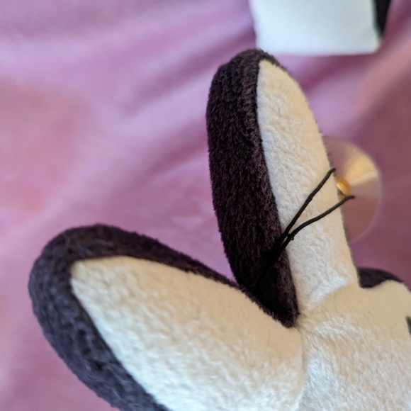 Playboy mini bunny 🐰 - Picture 7 of 7